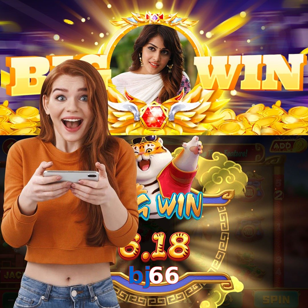 bj66