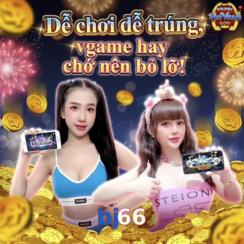 bj66