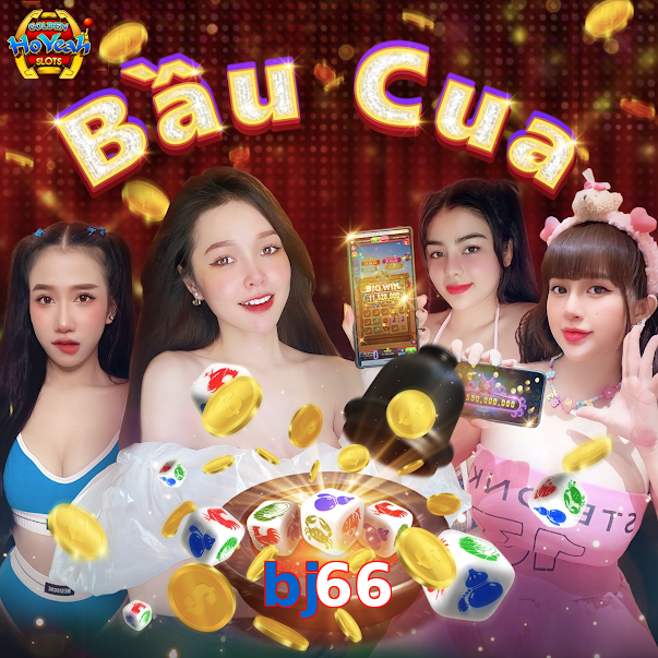 bj66