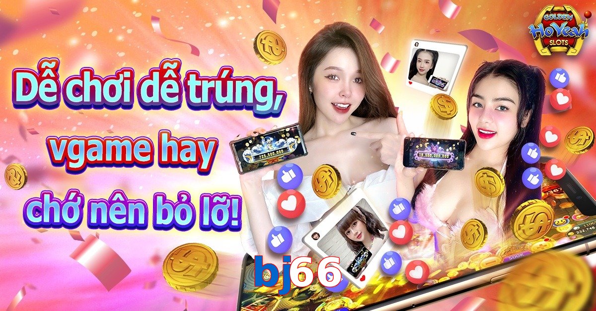 bj66