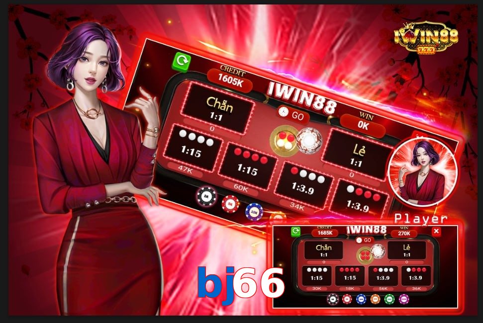 bj66