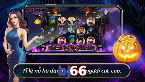 bj66