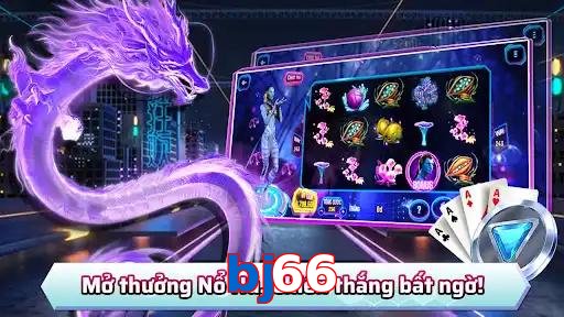 bj66