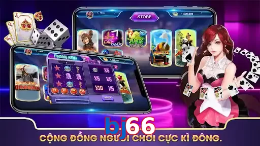 bj66