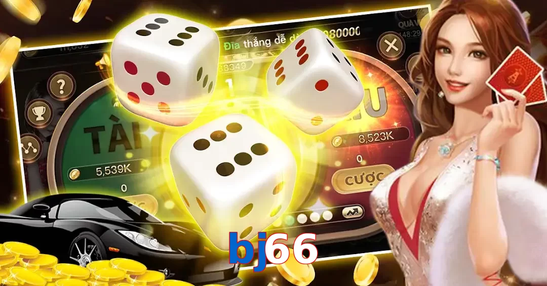 bj66