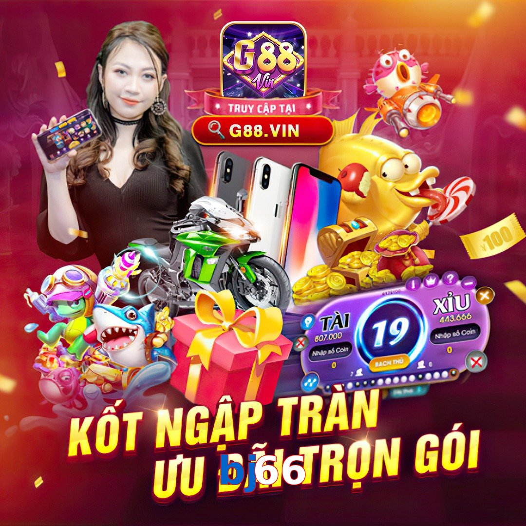 bj66