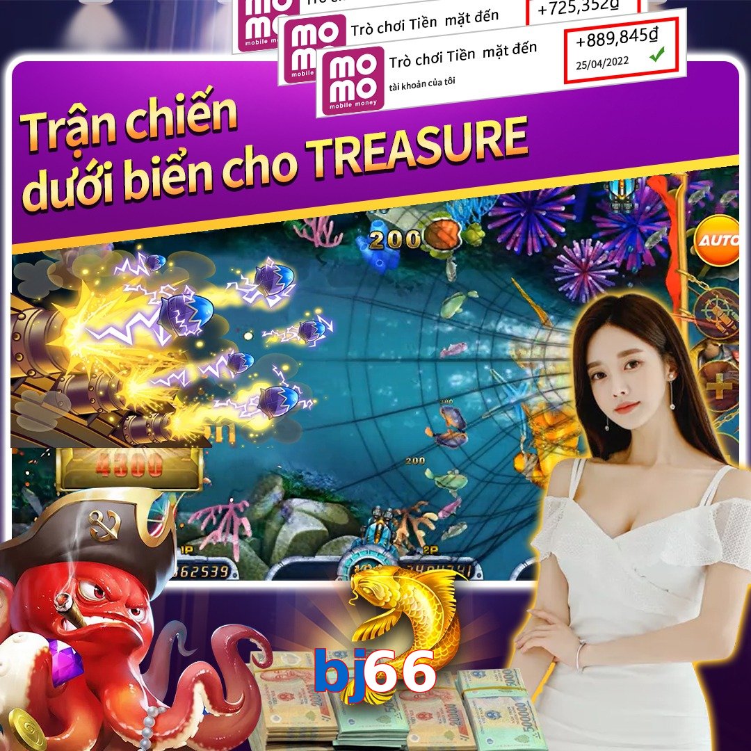 bj66